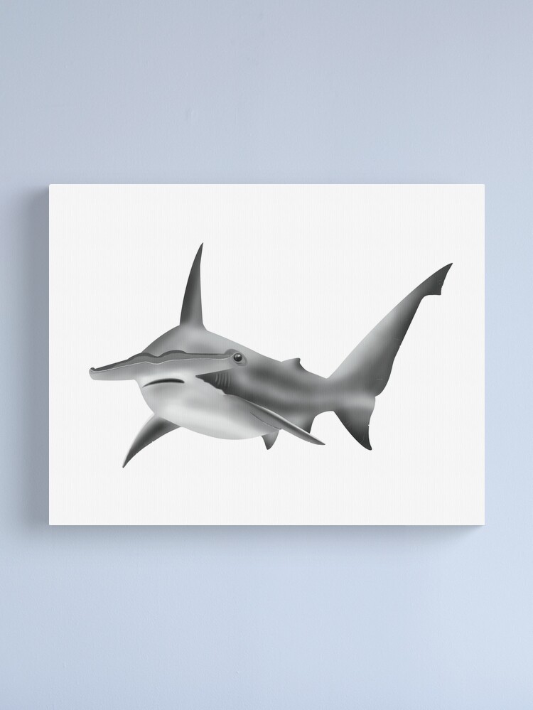 Scalloped Hammerhead Shark Canvas Print for Sale by Opalescent Studios