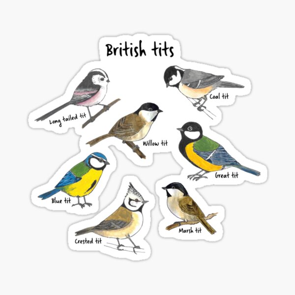 Item preview, British Tits designed and sold by MadeUKewl.