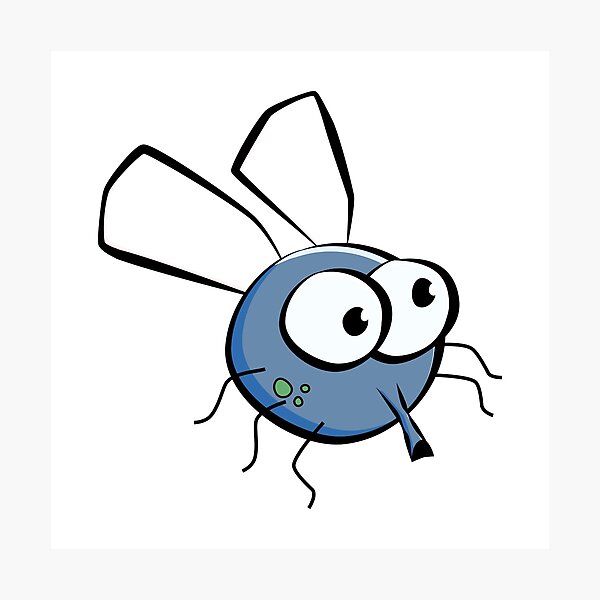 Impression Photo Angry Fly Mouche Fachee Par Chocodole Redbubble