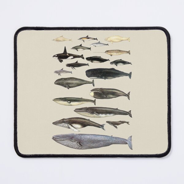 Item preview, Whale Chart designed and sold by MadeUKewl.