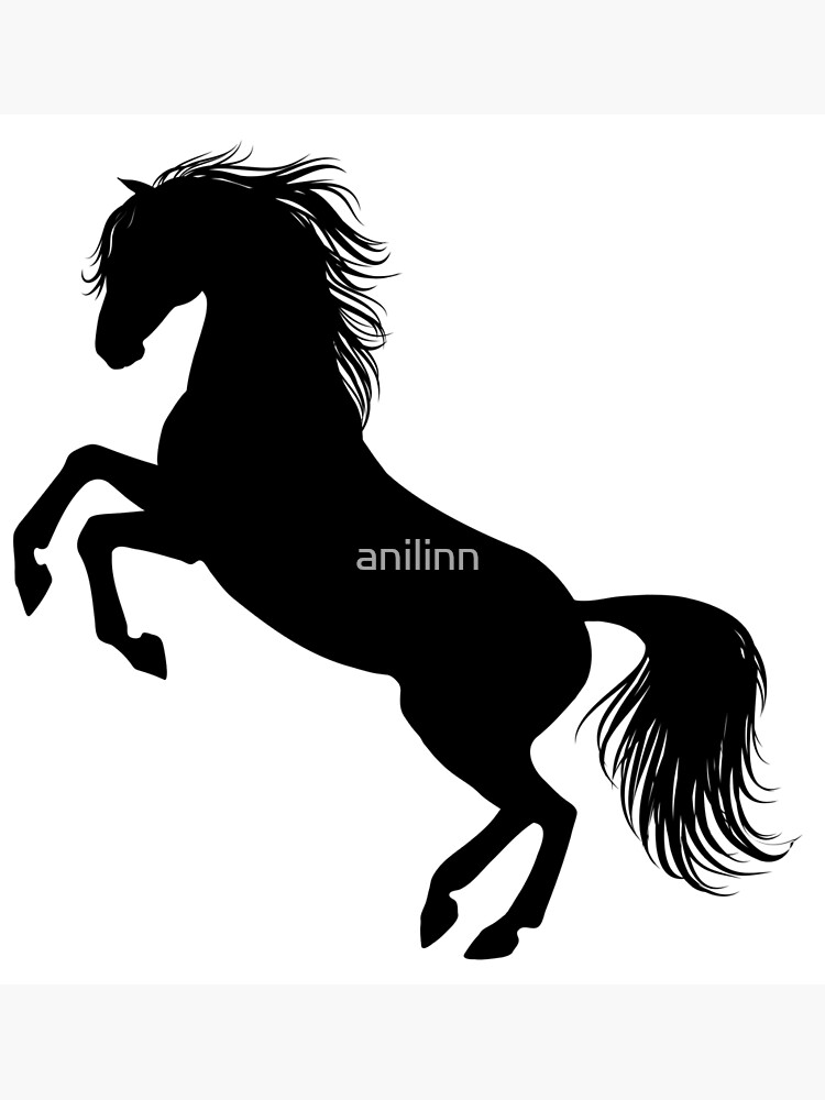 Rearing Horse Silhouette Poster By Anilinn Redbubble