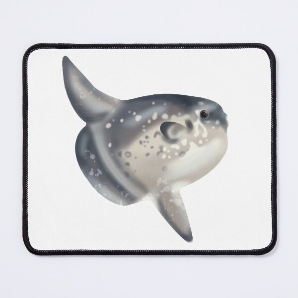Item preview, Ocean Sunfish designed and sold by Opalescent Studios.