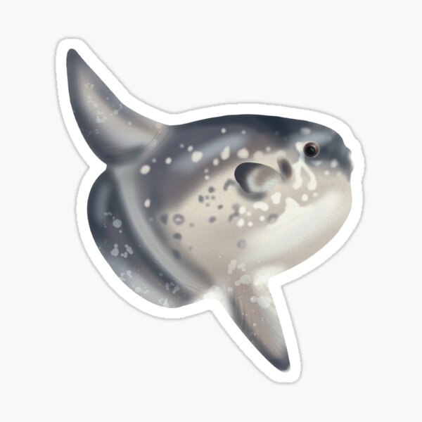 Ocean Sunfish Merch & Gifts for Sale