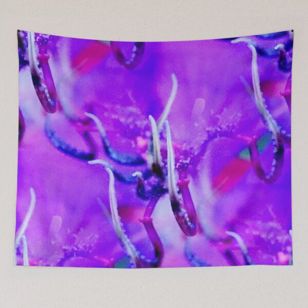 Item preview, Tendrils  designed and sold by Geoff Treagus.