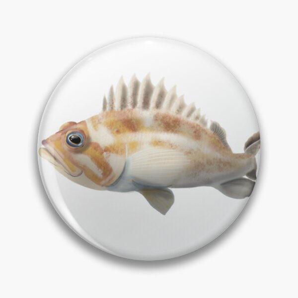 Item preview, Copper rockfish designed and sold by Opalescent Studios.