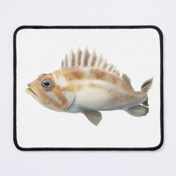 Item preview, Copper rockfish designed and sold by Opalescent Studios.