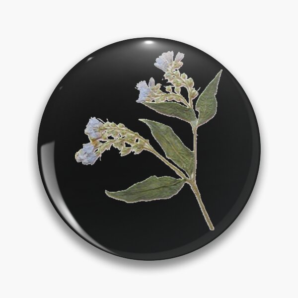 Item preview, Hand-Pressed Dried Comfrey Flower  designed and sold by ErnstHagen.