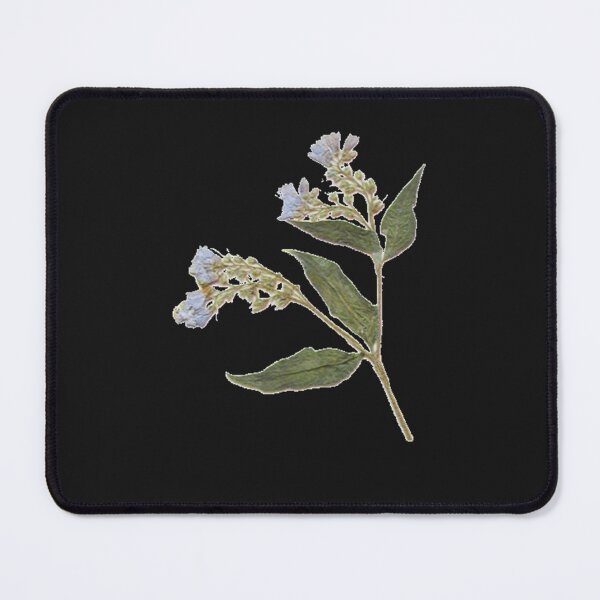 Item preview, Hand-Pressed Dried Comfrey Flower designed and sold by ErnstHagen.