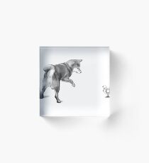 Shiba Inu and his new friend Acrylic Block