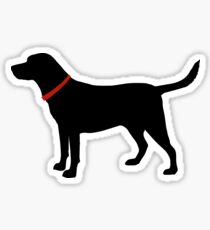 Pegatina Labrador Retriever, Black Lab