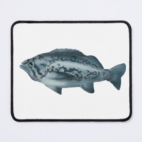 Item preview, Blue rockfish designed and sold by Opalescent Studios.
