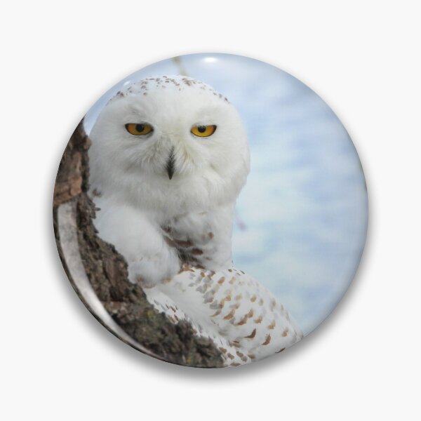 Item preview, Snowy  designed and sold by traceh38.