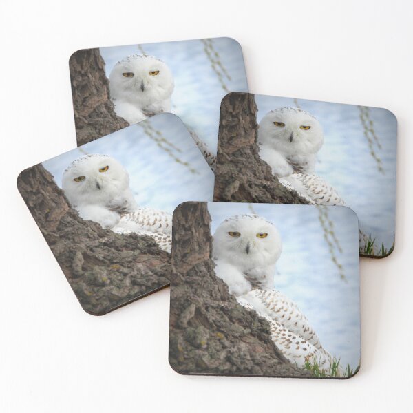 Item preview, Snowy  designed and sold by traceh38.