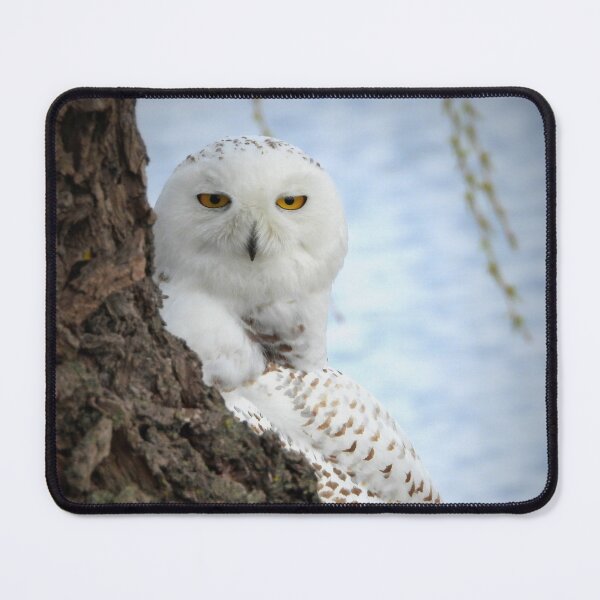 Item preview, Snowy designed and sold by traceh38.