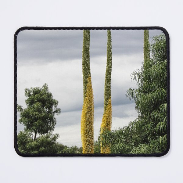 Item preview, Reach for the Sky! designed and sold by heatherfriedman.