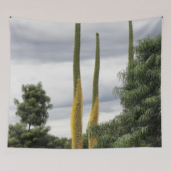 Item preview, Reach for the Sky! designed and sold by heatherfriedman.