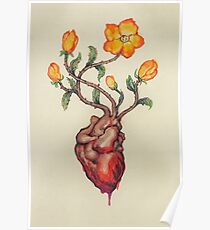 This Blossoming Bleeding Heart Poster