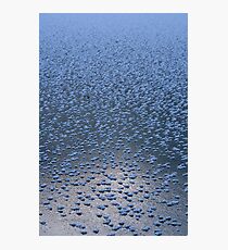 Flakes Photographic Print