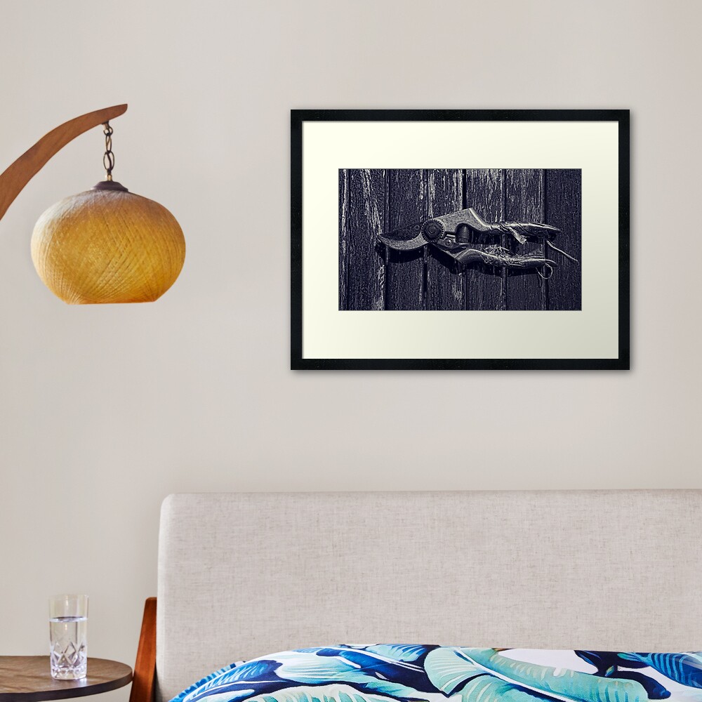 Secateurs Framed Art Print
