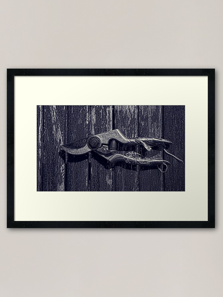 Alternate view of Secateurs Framed Art Print