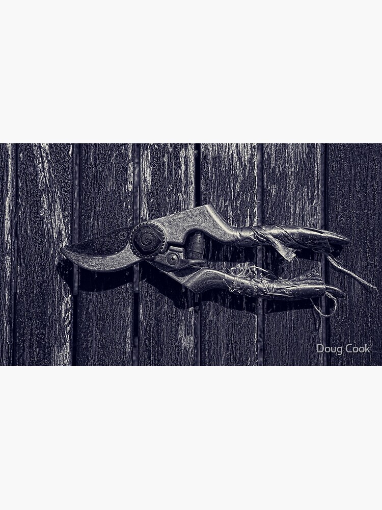 Secateurs by DougCook