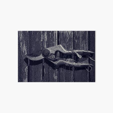 Secateurs Art Board Print