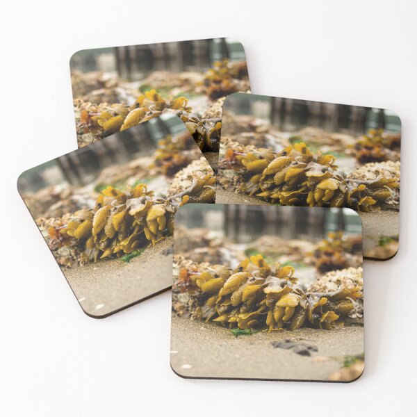 Item preview, PNW Puget Sound Rockweed Seaweed  designed and sold by RoguePixel.