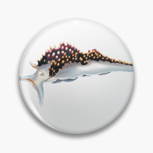 Item preview, Hilton's Aeolid Nudibranch designed and sold by Opalescent Studios.