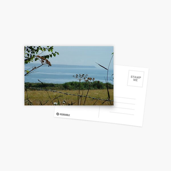 barb Postcard