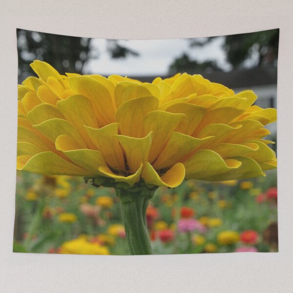 Item preview, Portrait of a Wild Flower designed and sold by Jeffrey Mask.