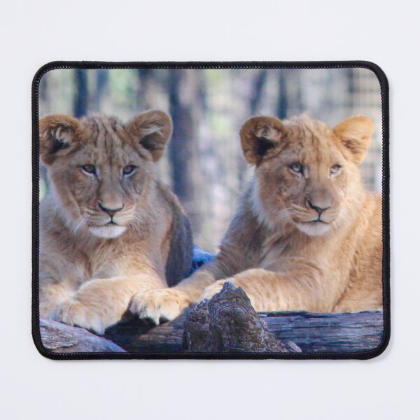 Item preview, Lion Cubs designed and sold by smh2.