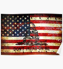 American Flag And Viper On Rusted Metal Door - Don't Tread On Me Poster