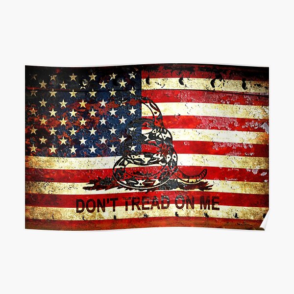 American Flag And Viper On Rusted Metal Door - Don't Tread On Me Poster