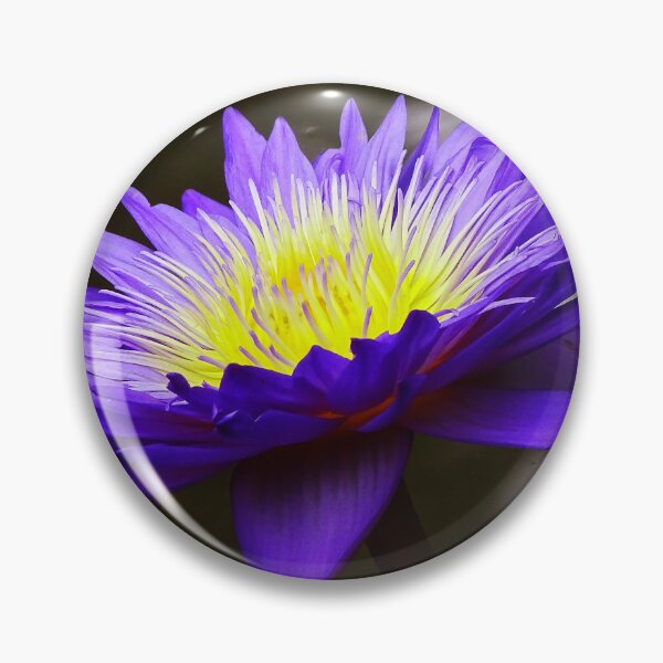 Item preview, Water Lillies & Lotuses #10 designed and sold by Jeffrey Mask.