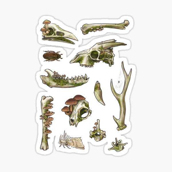 Item preview, Moss bones designed and sold by Laya Rose.