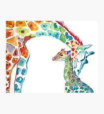Giraffe Mommy and Baby Photographic Print