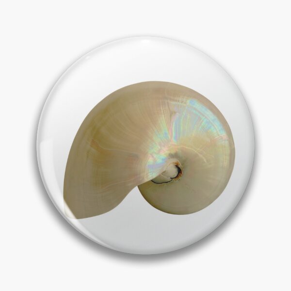 Item preview, Fibonacci Shell designed and sold by boomantique.