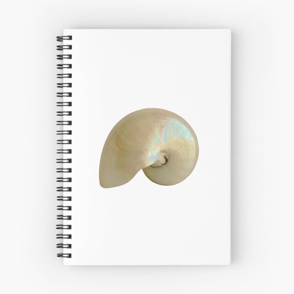 Item preview, Fibonacci Shell designed and sold by boomantique.
