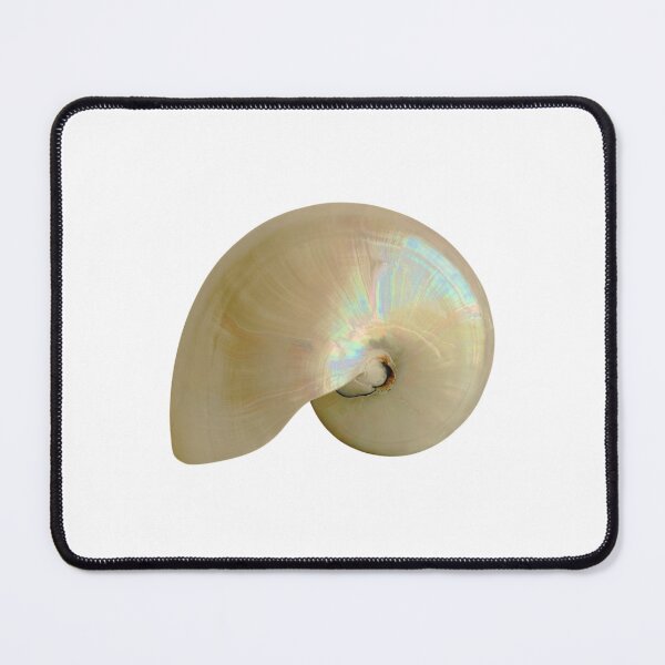 Item preview, Fibonacci Shell designed and sold by boomantique.