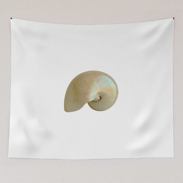 Item preview, Fibonacci Shell designed and sold by boomantique.