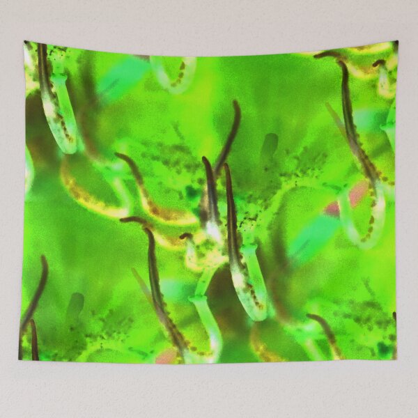 Item preview, Tendrils Revisited designed and sold by Geoff Treagus.