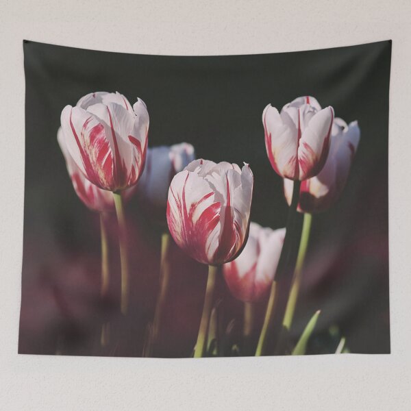 Item preview, Tulip designed and sold by jenniferzalzal.
