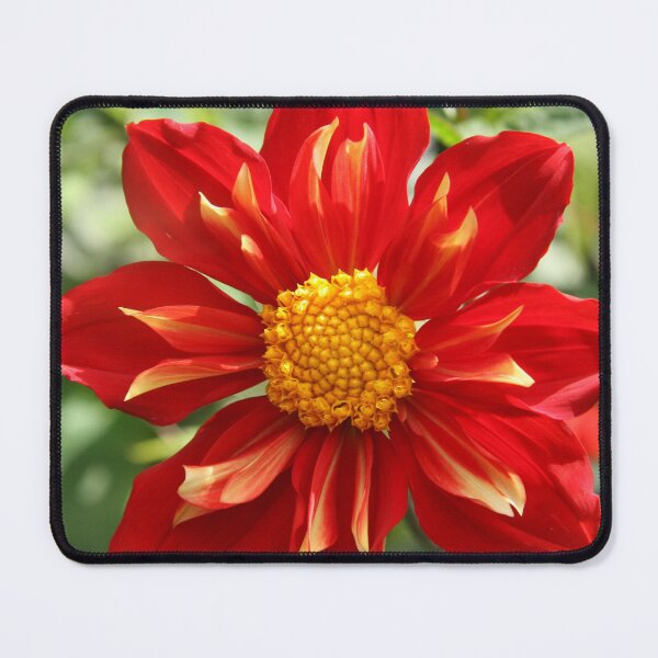 Item preview, Ablaze designed and sold by coffeebean.