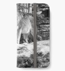 Timber Wolf Winter Menaces iPhone Wallet/Case/Skin