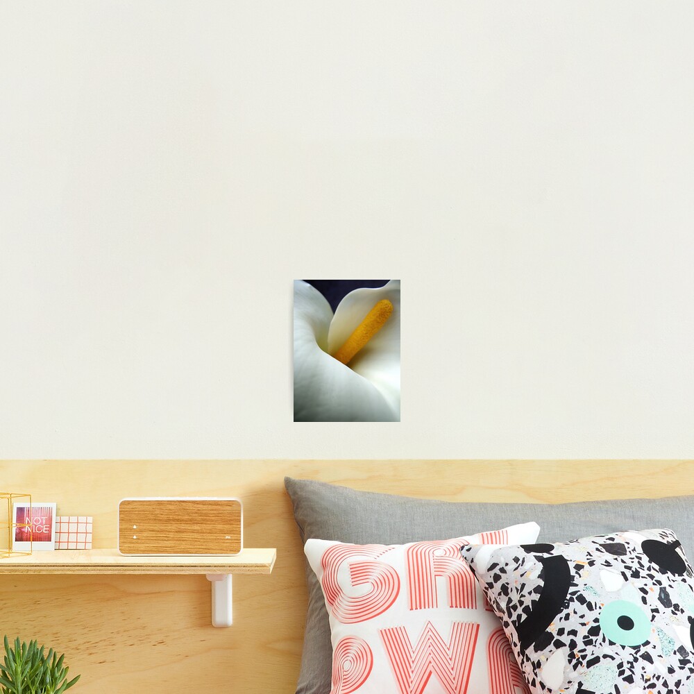 Item preview, Photographic Print designed and sold by Innercreation.
