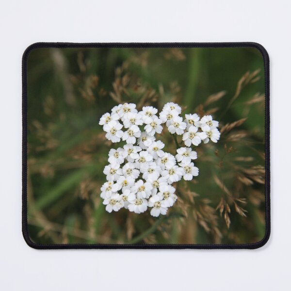 Item preview, Wildflower beauty designed and sold by coffeebean.