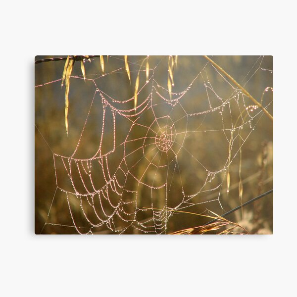 Abandon Metal Print