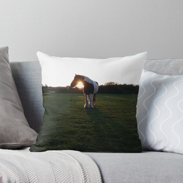 Item preview, Sunset Horse designed and sold by neilirving.