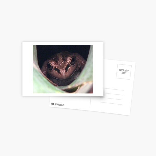 KISSES ??? Postcard