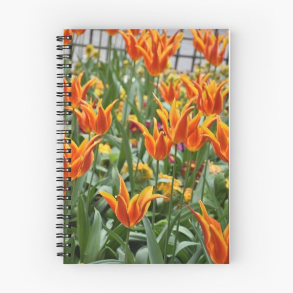 Item preview, Orange Flowers from the United Kingdom designed and sold by Bargel.